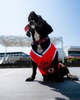 Clippers Statement Pet Jersey - Red - 70 - 000012 - XS