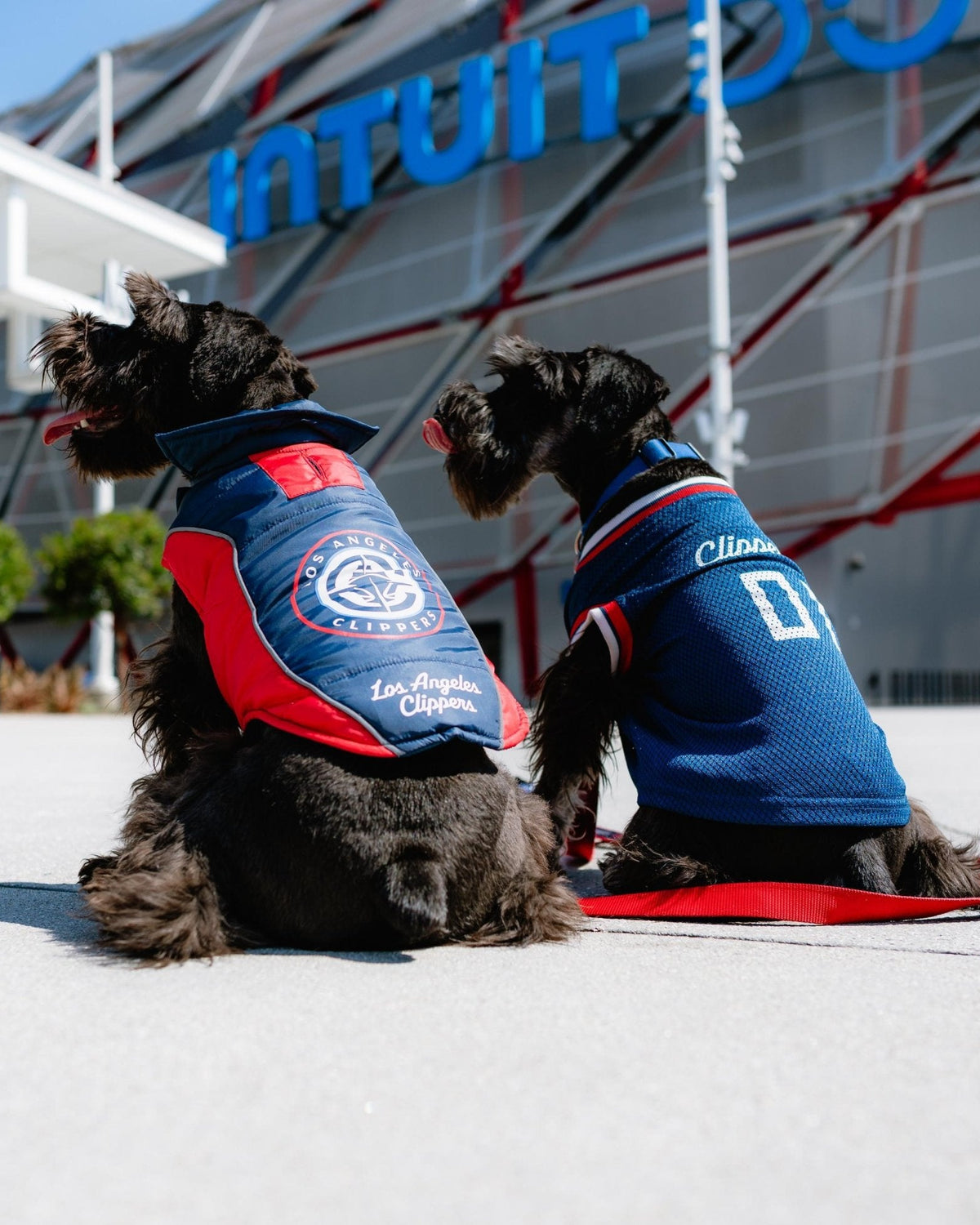 LA Clippers Pet Puffer Vest - Navy - 70 - 000008 - S