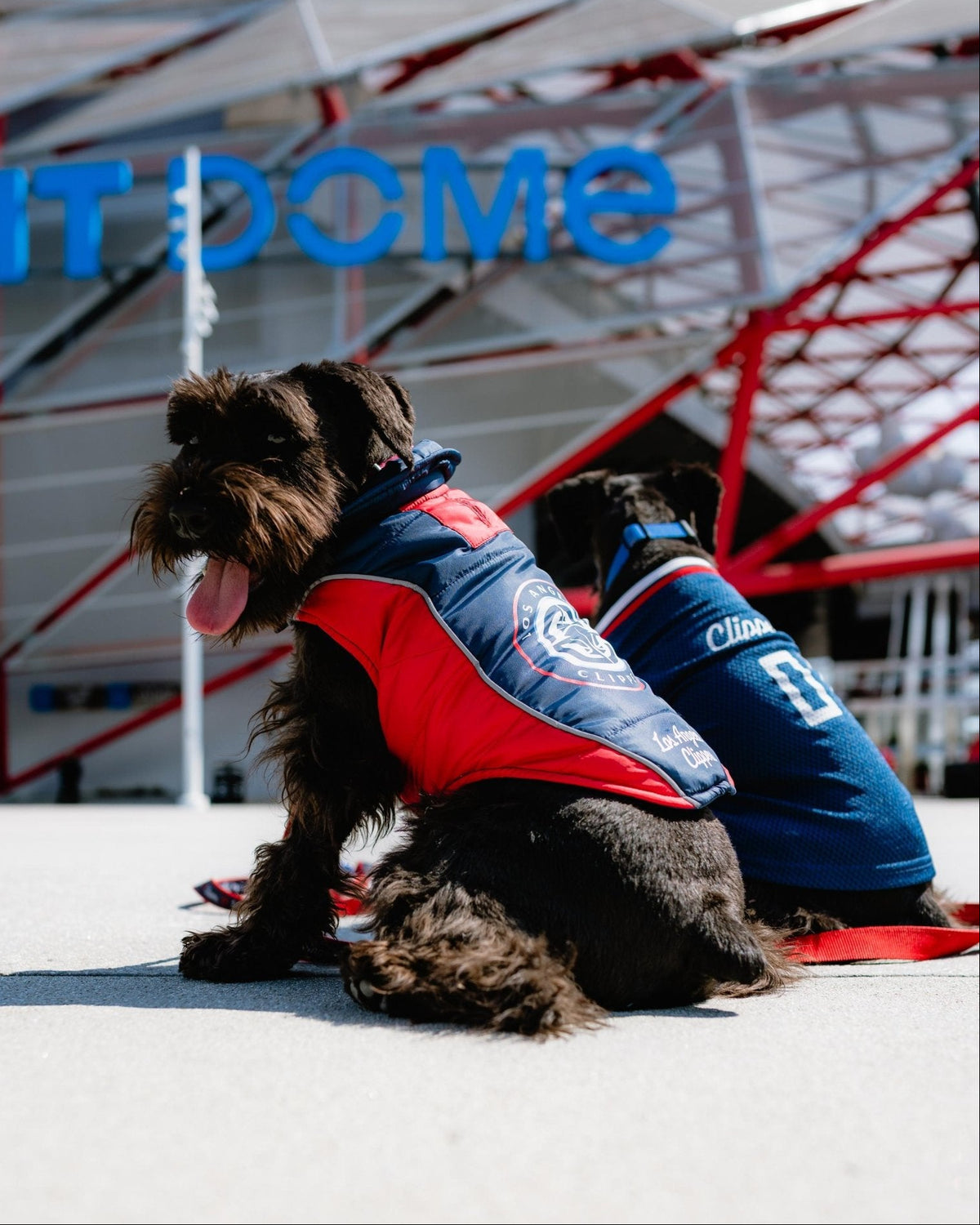 LA Clippers Pet Puffer Vest - Navy - 70 - 000008 - S