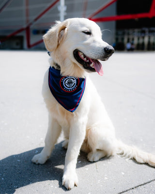 Pet Tie Around Bandana - Navy - 70 - 000011 - XS